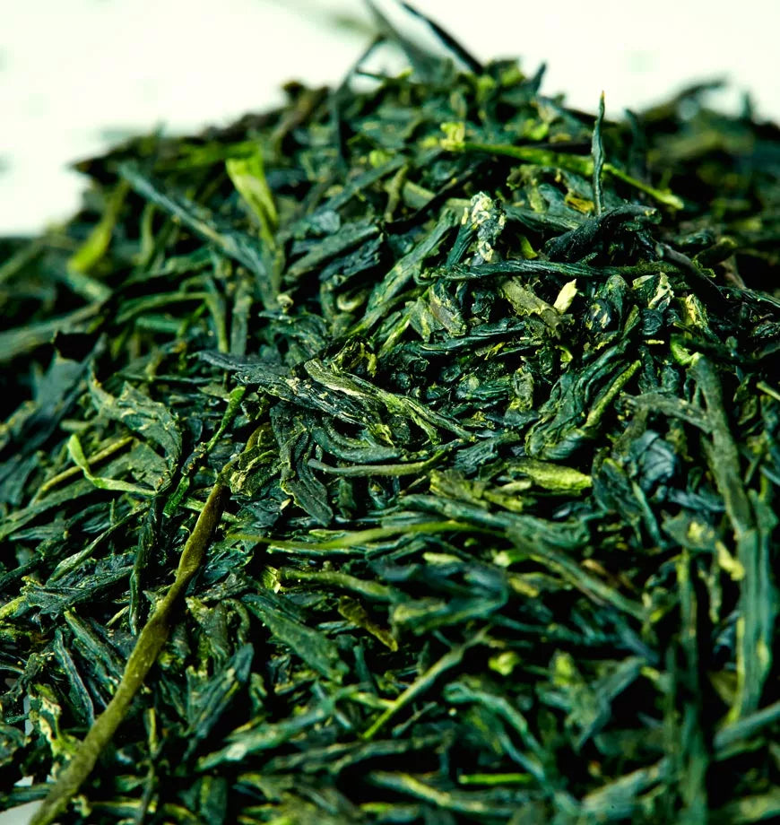 Organic Gyokuro Japanese green tea leaves arranged in a pile on a white surface, highlighting their rich green hue.