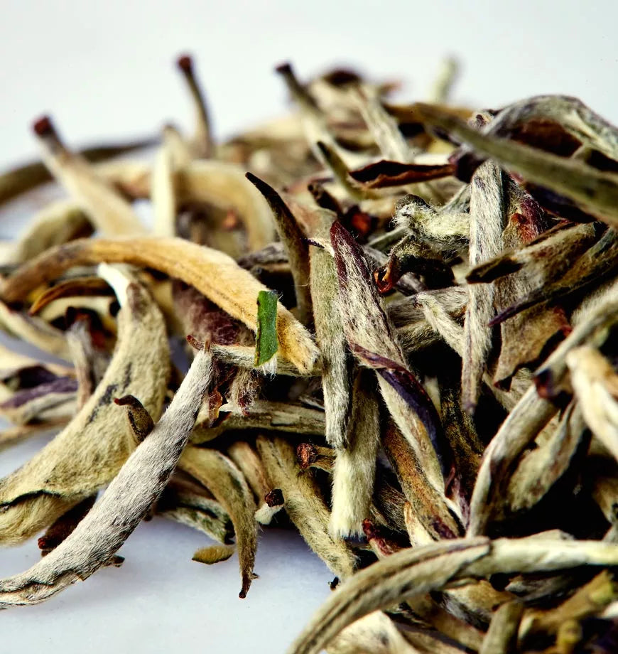 A pile of downy sprout white tea leaves arranged on a white surface, showcasing their delicate texture and color
