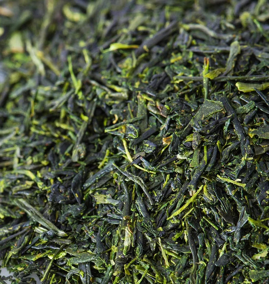 A view of organic Nishi Sencha green tea leaves, highlighting their rich green hue and fine structure.