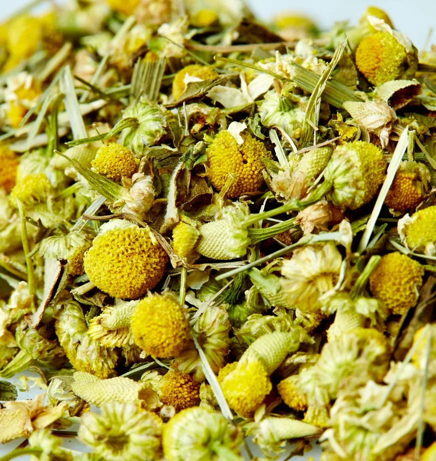 A pile of dried yellow chamomile flowers on a white surface, representing the herbal infusion Chamomile Twist.