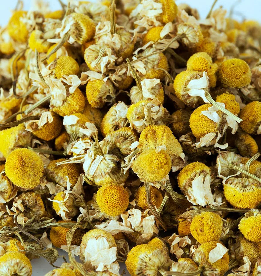 A pile of dried chamomile flowers, showcasing their delicate petals, used for herbal infusions and calming teas.